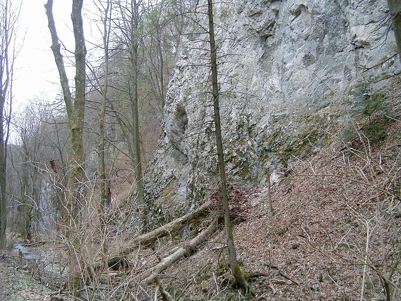 2012.04.14. 0037.jpg